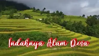 Lagu Indahnya Alam Desa