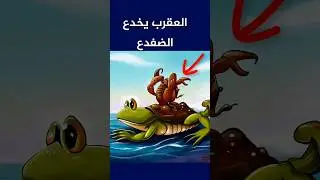 العقرب والضفدع 🦂🐸