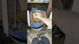 Рихтую монетку.