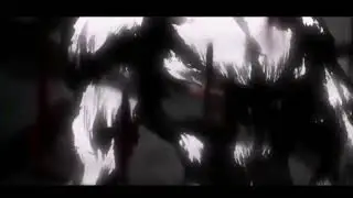 AMV GON TRANSFORMATION