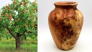 Woodturning | Apple Wood Burl Vase