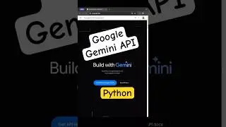 How to use the GEMINI API in your Python Project? 