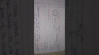 The Fisher- Indole synthesis in detail with mechanism (synthesis of indole part -1)