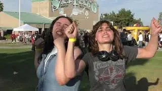 Shark Fest 2024