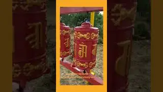 14 июня 2020 г.