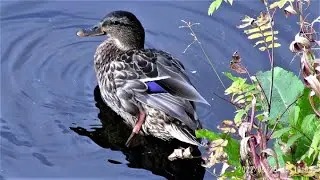 Озеро Глубокое. У фонтана.