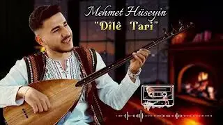 Mehmet Hüseyin - Dilê Tari  ( Akustik 2024 ) محمد حسين دلي تاري