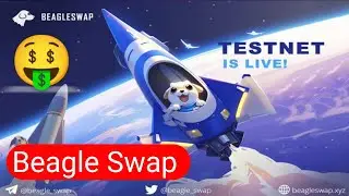 BeagleSwap’s Testnet is LIVE! | Beagle Swap Testnet