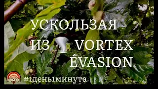 Vortexévasion вскользь🌪️ - выпуск #683 Август3 2023 #1день1минута #франция #bretagne #океанотерапия