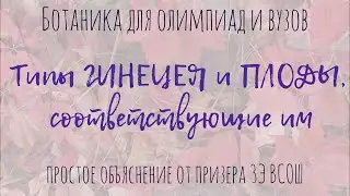 Everything About Gynoecium Types and Fruits | Plant Morphology for Olympiads and University Botan...