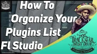 How To Organize Your Plugins In Fl Studio | Make Plugins Easy To Find | 🎼📀 Itz-Beez-Da TrackStar