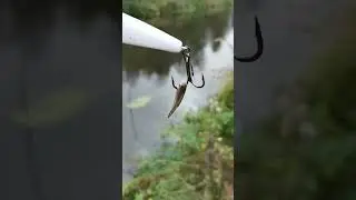 Монстры на спиннинг ломают крючки.