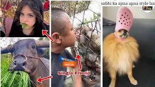 Wah Kya Scene Hai😂🔥 Funny Memes 🤣🔥 Trending Memes |Dank Indian Memes Reaction | Ep-77