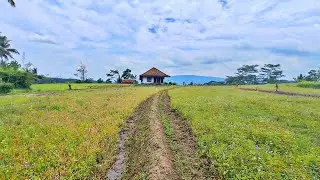 PANORAMA ALAM❗ rumah terpencil di tengah area persawahan kampung cikaret #part2