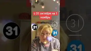 28 октября 2024 г.