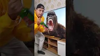 My Friend King Kong 🦍 