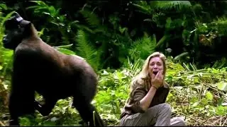 What the GORILLA did to the tourist in the jungle shocked all the locals!