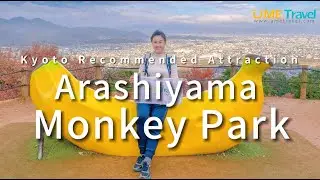 Kyoto Recommended Attraction：Arashiyama Monkey Park
