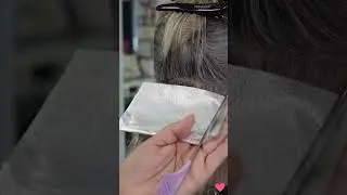 Babylight Highlight vs Microlights - Do you know the difference? 
