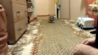 Выполняем первую команду