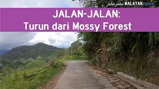 JALAN-JALAN: Jalan Turun dari Mossy Forest Gunung Brinchang
