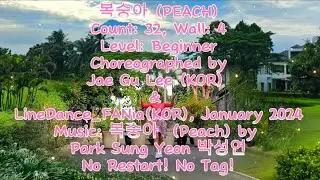 복숭아 (PEACH) LINE DANCE | CHOREO BY JAE GU LEE (KOR) & LINEDANCE_FANia (KOR)