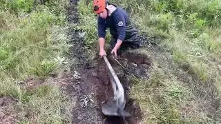 Якорь для лебедки TROFI FI