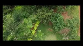 Dji Mavic Mini 2 | Sample flight video