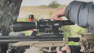 Western Bushpig  45 , The best Big-Bore