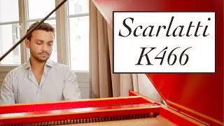 Scarlatti Sonata in F minor K466 | Harpsichord