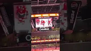 All icehogs goals (part 1)