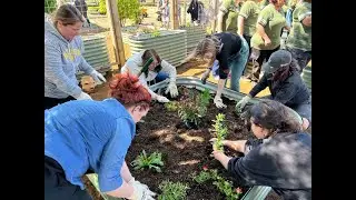 A Blooming Partnership: Building Pollinator Gardens with United Supermarkets and One Tree Planted