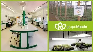 Departamento Técnico de Grupo Iñesta