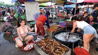 Insane River Fish Harvest 🇰🇭 Cambodia’s Biggest Freshwater Market Tour