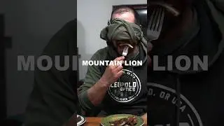 Blind testing 4 different wild game meats! 🙀 The result shocked us all! #venison #bowhunting