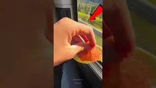 Carrera Trampa 😅 
