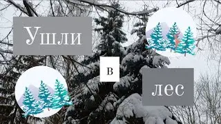 МЫ ВЕРНУЛИСЬ😃 | Прогулка в лесу с собакой🐶
