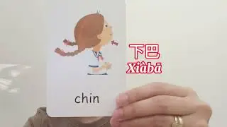 Part 3/7 ( 5 ) Body parts to learn in English | 1-minute video