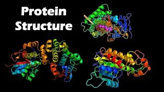 Protein Structure