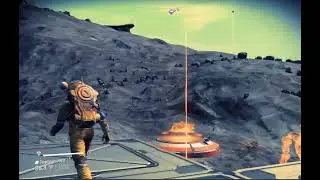 Look bases!