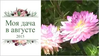 моя дача в августе 2015г
