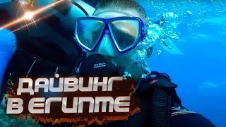Отдых в Египте 2023. Пробуем дайвинг. Чем еще удивит Египет?