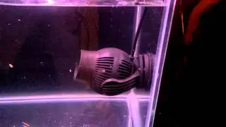 Jebao WP 40 review # 2