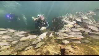 Researcher Begins Record-Breaking 100-Day Undersea Mission in Florida Keys