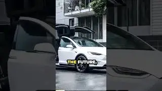 Tesla Model X Review!