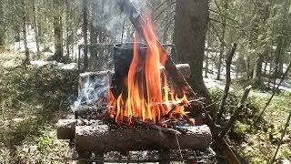 Вот и пришла весна в Республике Коми