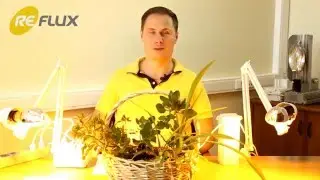 ПРА или ЭПРА