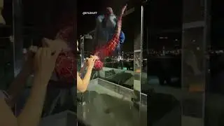 EPIC Spider-Man Photography! 🕸🕷 