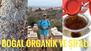 Bal satışlarımız başlıyor 🐝🍯