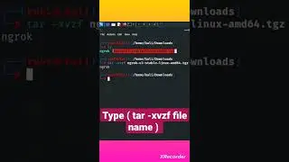 How to unzip .tgz file in Kali Linux? || #ytshort #viral #shorts #status #unzip #linux #hacking